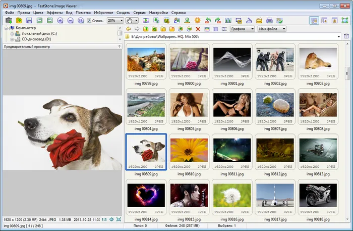 FastStone Image Viewer